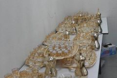 IMG-20240212-WA0010