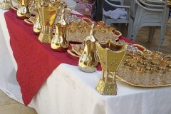 IMG-20240212-WA0015